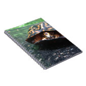 Carnet Tortue (Côté Droit)