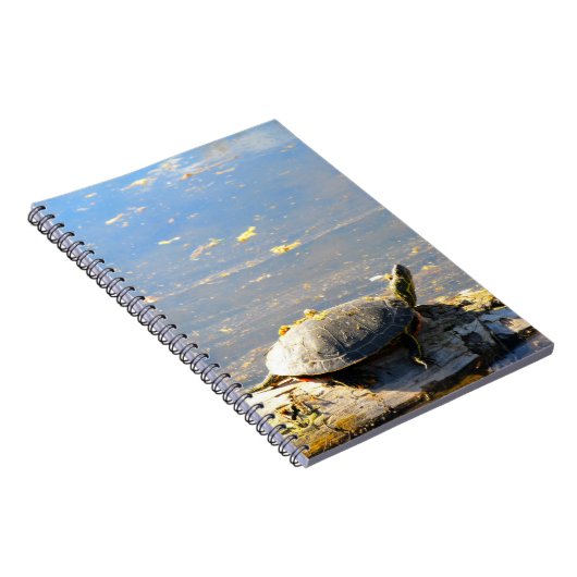 Carnet tortue (Côté Droit)