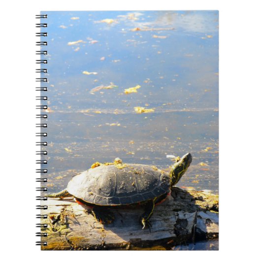 Carnet tortue (Devant)