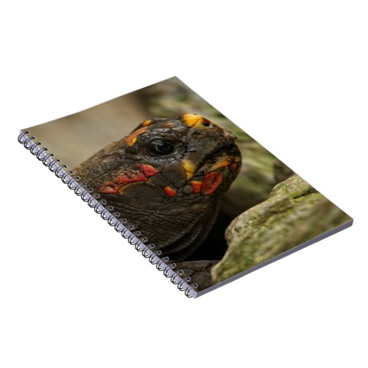 Carnet Tortue à pied rouge (Côté Droit)