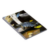 Carnet Tortue de glisseur d'étang dans le sauvage (Côté Droit)