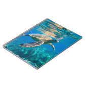 Carnet Tortue de mer (Côté gauche)