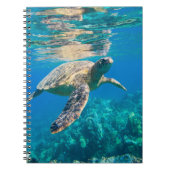 Carnet Tortue de mer (Devant)
