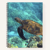 Carnet tortue de mer (Devant)
