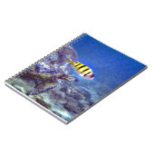Carnet Tortue de mer (Côté gauche)