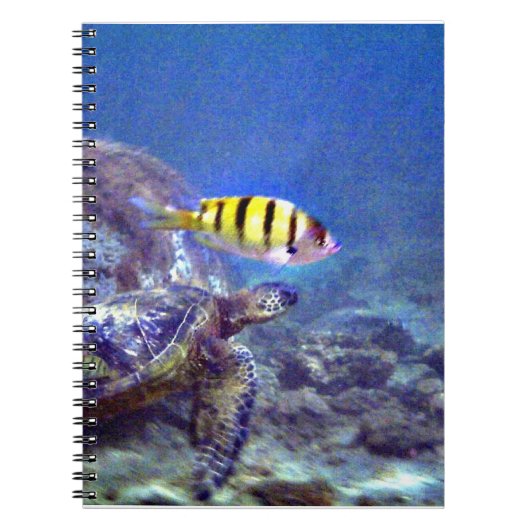 Carnet Tortue de mer (Devant)