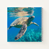 Carnet Tortue de mer (Dos)