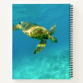 Carnet Tortue de mer nageant dans l'eau turquoise de l'oc (Dos)