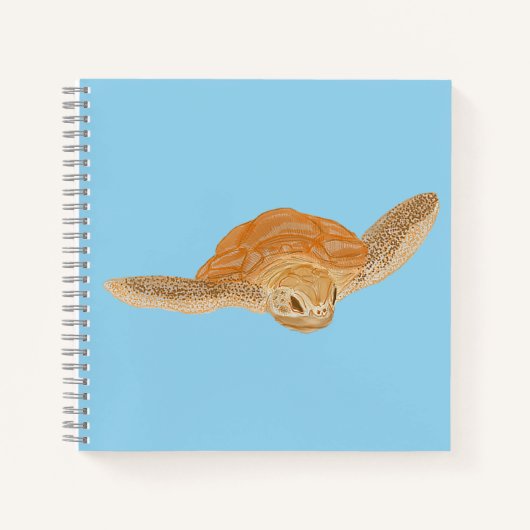 Carnet Tortue de mer sous l'eau - transparent. (Devant)