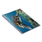 Carnet Tortue de mer verte hawaïenne (Côté Droit)