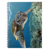 Carnet Tortue de mer verte hawaïenne (Devant)
