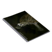 Carnet Tortue de natation (Côté Droit)