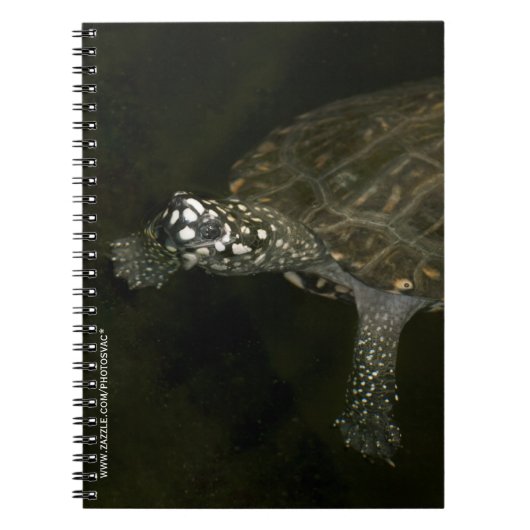 Carnet Tortue de natation (Devant)
