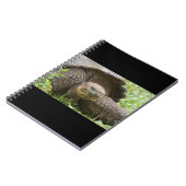 Carnet Tortue géante (Côté gauche)