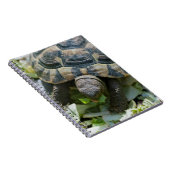Carnet Tortue mignonne (Côté Droit)