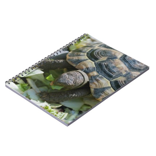 Carnet Tortue mignonne (Côté gauche)