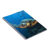 Carnet Tortue noire (verte) (Chelonia agassizi) (Côté Droit)