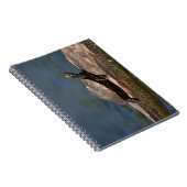 Carnet Tortue peinte sur un bûcher (Côté Droit)