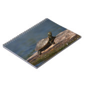 Carnet Tortue peinte sur un bûcher (Côté gauche)
