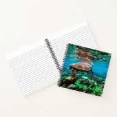 Carnet Tortue sous-marine tropicale (Intérieur)