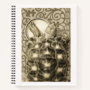 Carnet Tortue Sulcata Art Nouveau Encre Dessin sépia