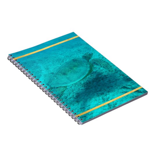 Carnet Tortue verte hawaïenne (Côté Droit)