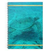 Carnet Tortue verte hawaïenne (Devant)