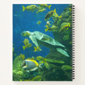 Carnet Tortues (Dos)