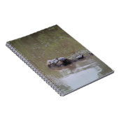 Carnet Tortues (Côté Droit)