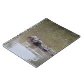 Carnet Tortues (Côté gauche)
