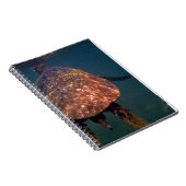 Carnet Tortues de mer hawaïennes (Côté Droit)