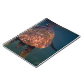 Carnet Tortues de mer hawaïennes (Côté gauche)