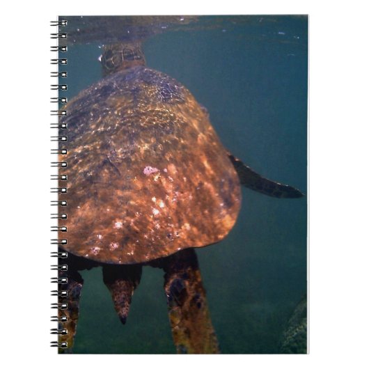 Carnet Tortues de mer hawaïennes (Devant)
