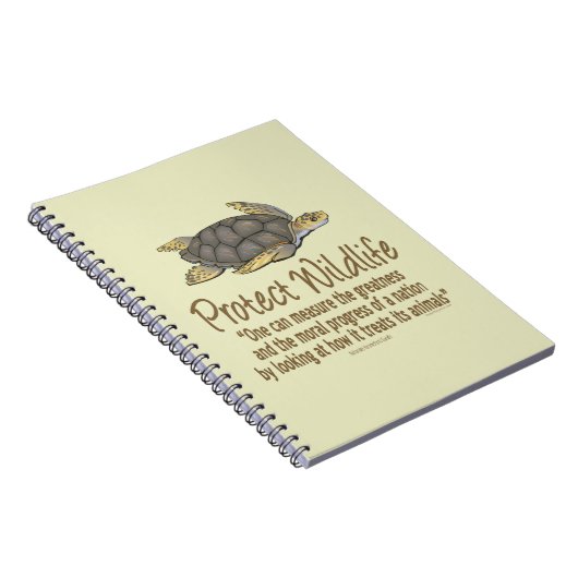 Carnet Tortues marines (Côté Droit)