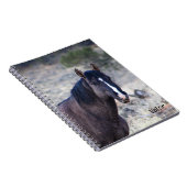 Carnet Tote des Stallions S Steens (Côté Droit)