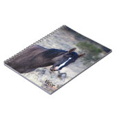 Carnet Tote des Stallions S Steens (Côté gauche)