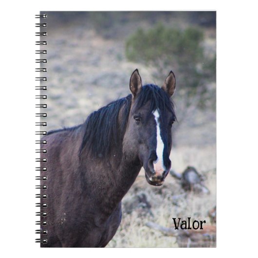 Carnet Tote des Stallions S Steens (Devant)