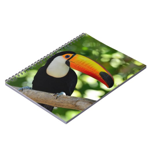 Carnet Toucan (Côté gauche)