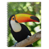 Carnet Toucan (Devant)