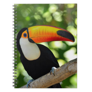 Carnet Toucan