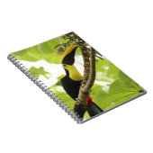 Carnet Toucan de Swainson Oiseau Exotique (Côté Droit)