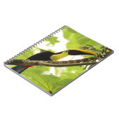 Carnet Toucan de Swainson Oiseau Exotique (Côté gauche)