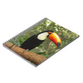 Carnet Toucan sur branche d'arbre (Côté gauche)