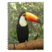 Carnet Toucan sur branche d'arbre (Devant)