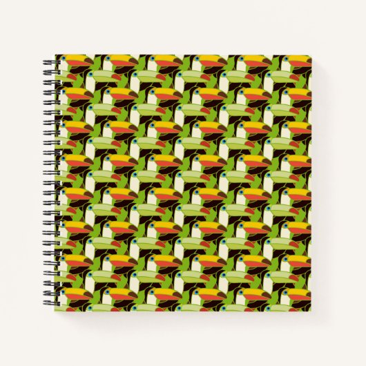 Carnet Toucans colorés (Devant)