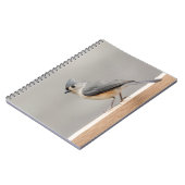 Carnet Touffé (Côté gauche)