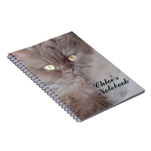 Carnet tourbillon de chats (Côté Droit)