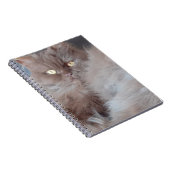 Carnet tourbillon de chats (Côté Droit)