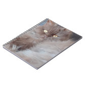 Carnet tourbillon de chats (Côté gauche)