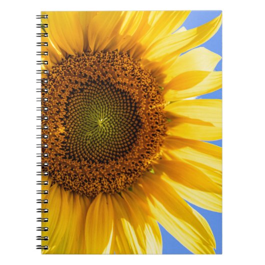 Carnet tourbillon de tournesol (Devant)